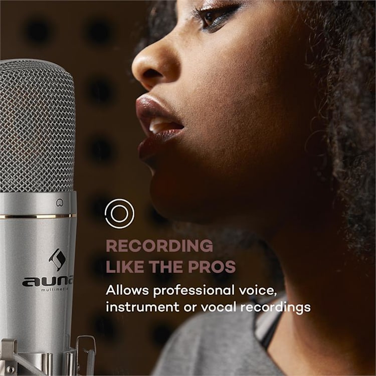 MIC-920 set microfono USB V5 microfono braccio orientabile protezione anti-pop schermatura