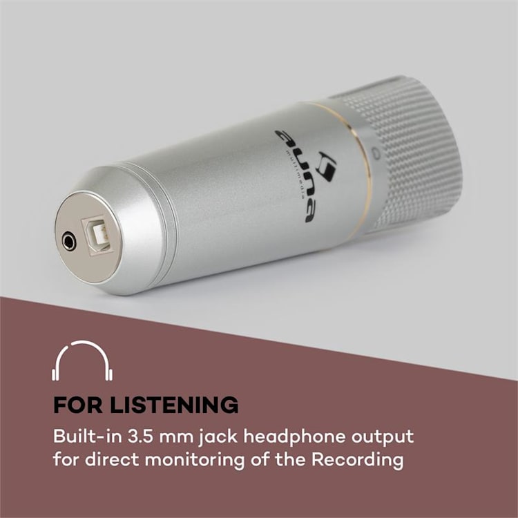MIC-920 set microfono USB V5 microfono braccio orientabile protezione anti-pop schermatura