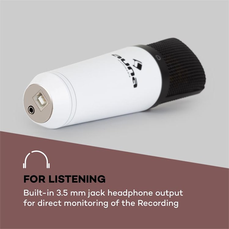MIC-920 set microfono USB V5 microfono braccio orientabile protezione anti-pop schermatura