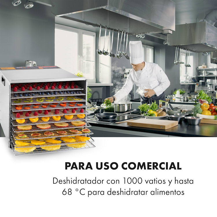 Fruit Jerky Steel 10 Deshidratador de alimentos 1000W acero inox 10 bandejas