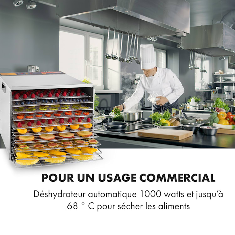 Déshydrateur alimentaire Fruit Jerky Steel 10 10 étagères 1000 W surface : 1,5 m² minuterie 10 étages