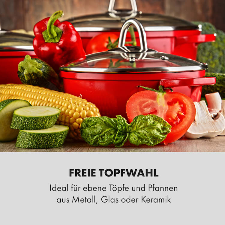 MisterCook Duo Kochplatte Infrarot 3000W 90-650°C Abschalttimer