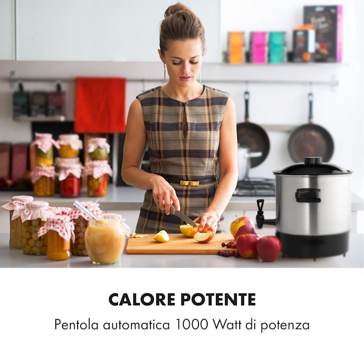Biggie Eco Pastorizzatore & Dispenser 1000W 30-100°C Rubinetto 9l