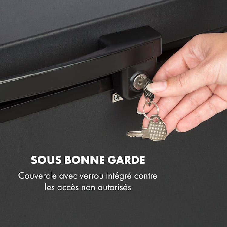 Iceblokk 80 Congélateur autonome 80L panier verrouillable A + noir Noir | 78 L