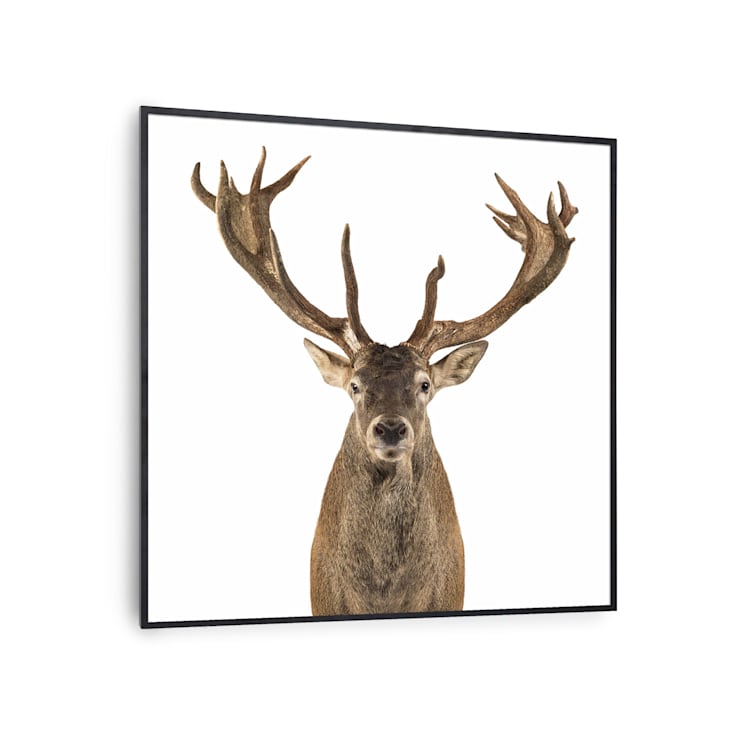 Wonderwall Air Art Smart Infrarotheizung Hirsch 60x60cm 350W schwarzer Rahmen 60 x 60 cm | Hirsch, schwarzer Rahmen