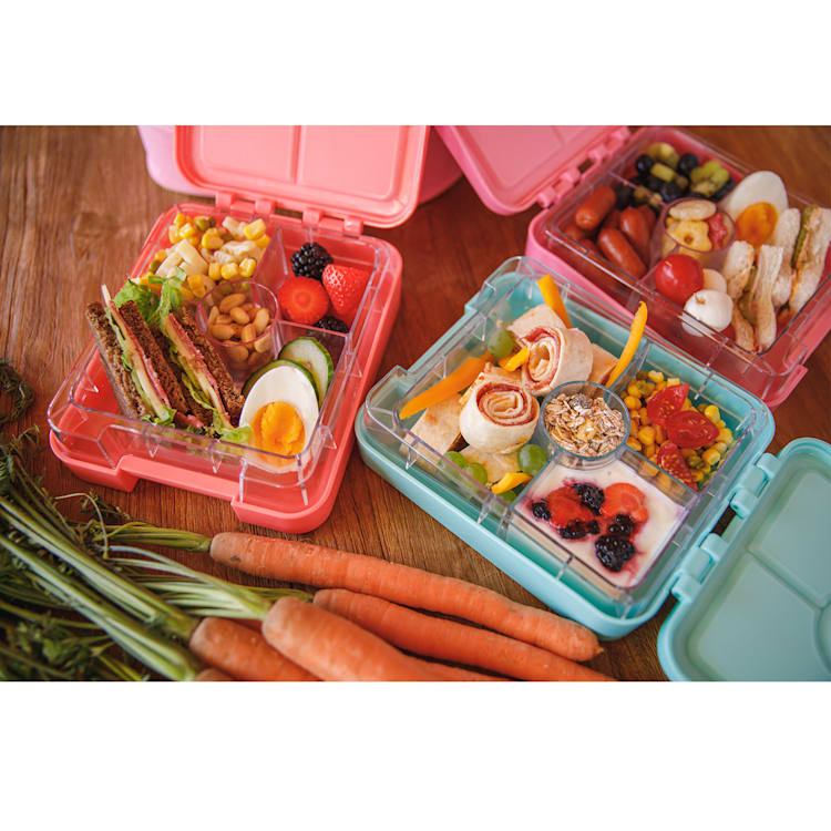schmatzfatz easy Snackbox 4 Fächer 18 x 15 x 5 cm (BxHxT) Rosa
