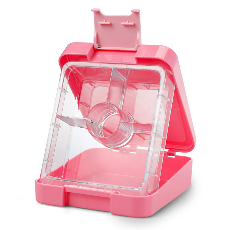 schmatzfatz easy Snackbox 4 Fächer 18 x 15 x 5 cm (BxHxT) Rosa