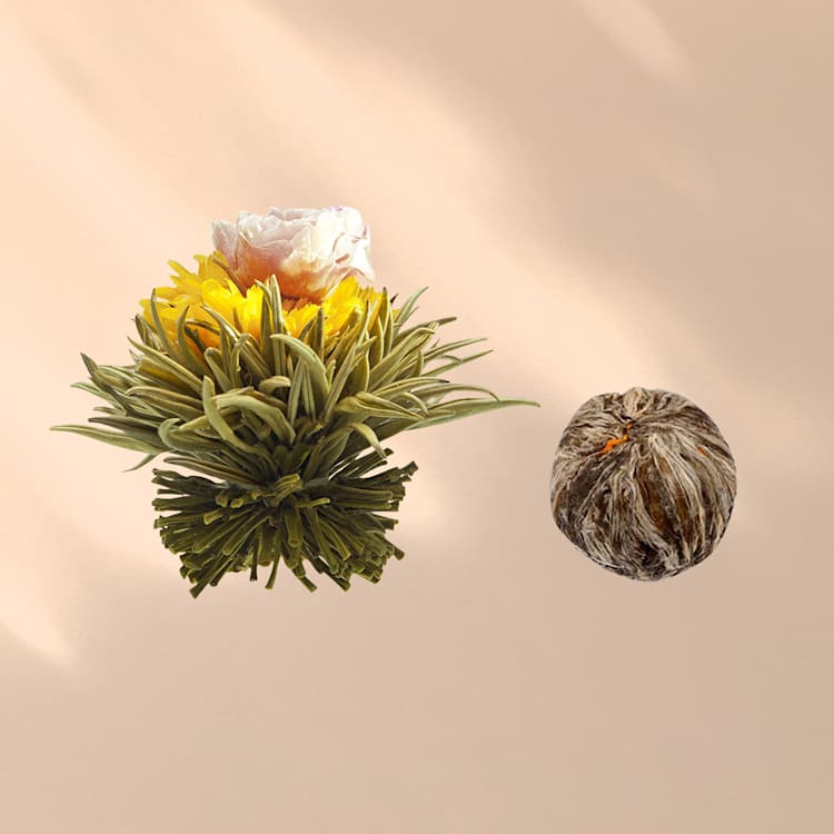 Feelino 6er Teeblume Mix Weiß Weißer Tee