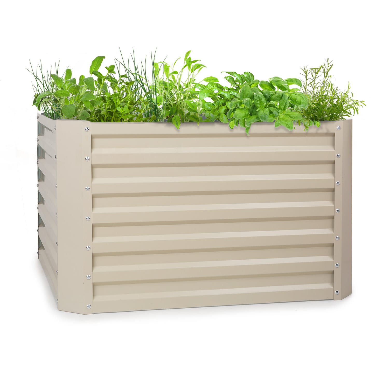 Blumfeldt High Grow Straight Hochbeet 100x60x100cm 600l Stahl