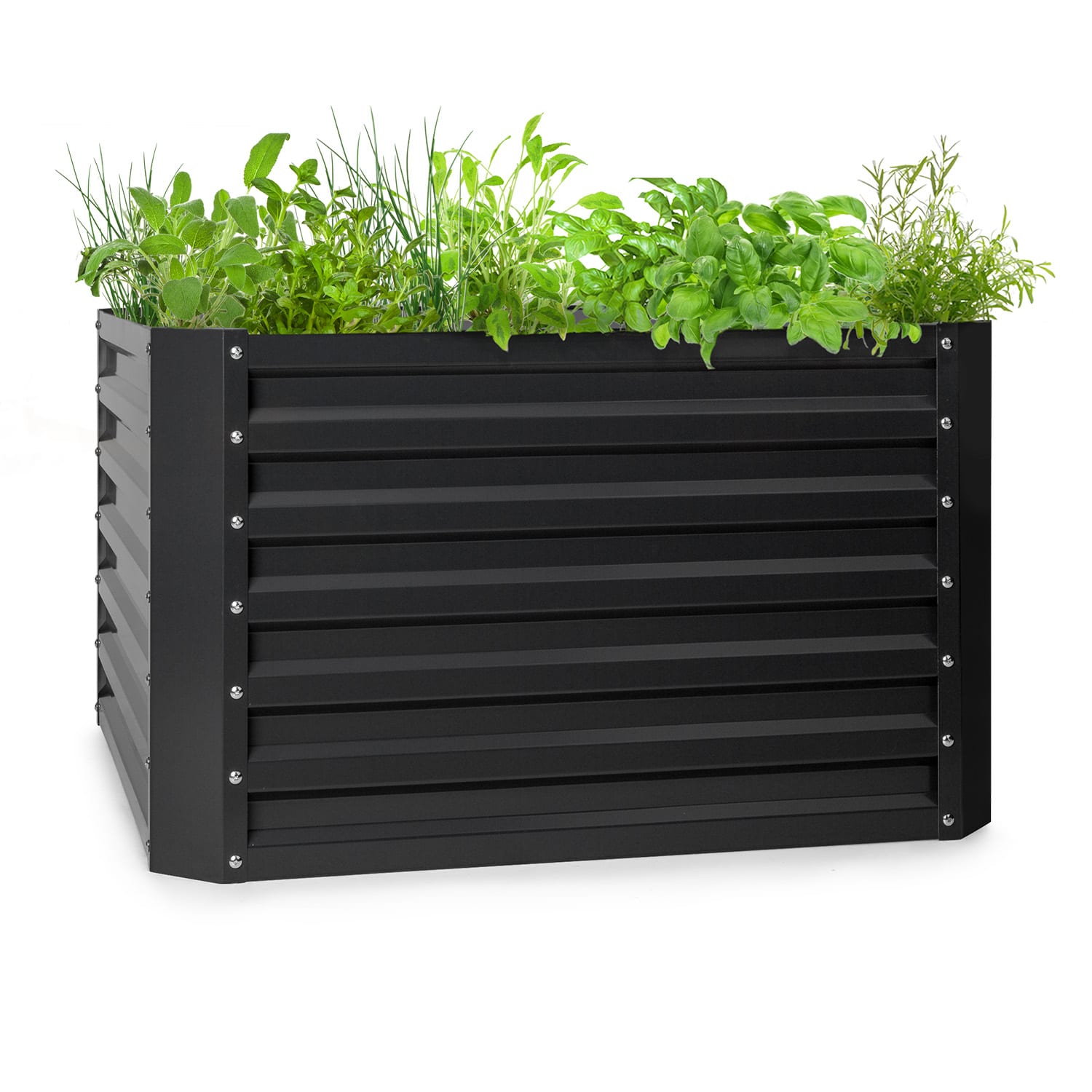 Blumfeldt High Grow Straight Hochbeet 100x60x100cm 600l Stahl