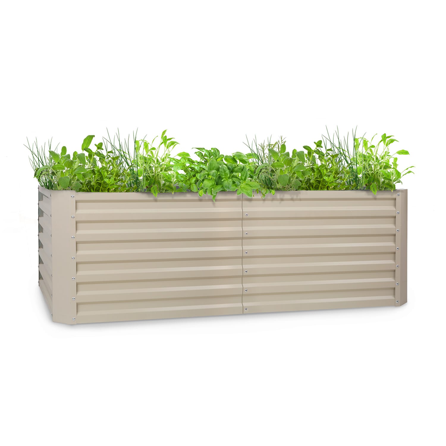 Blumfeldt Cream Blum High Grow Straight, Raised Bed, 200X60x100cm, 1200L, Steel