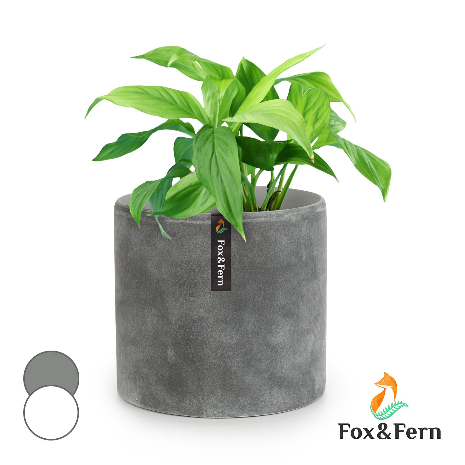 Fox & Fern Venlo Blumentopf Polystone in- und outdoor 3 Größen