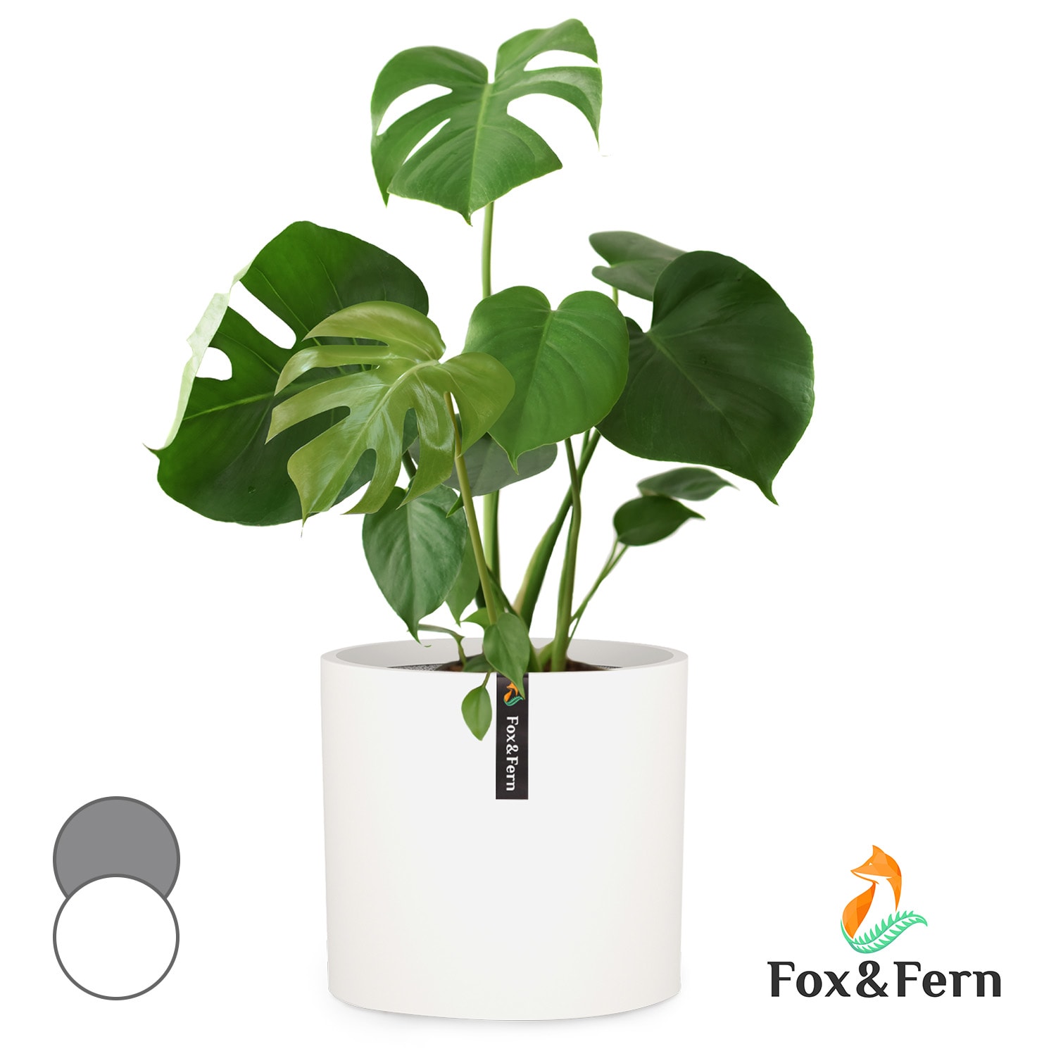Fox & Fern Maceta Venlo de polystone para interior y exterior 3 tamaños