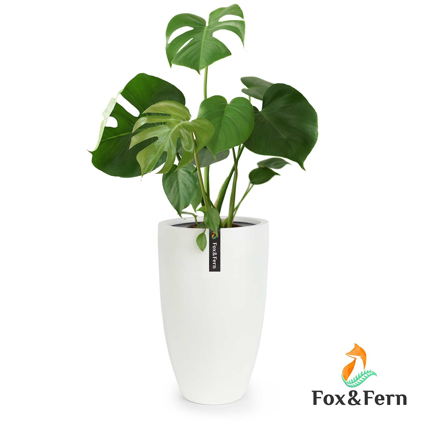 Fox & Fern Almere Blumentopf Faserstein pflanzenfreundlich handgemacht konisch