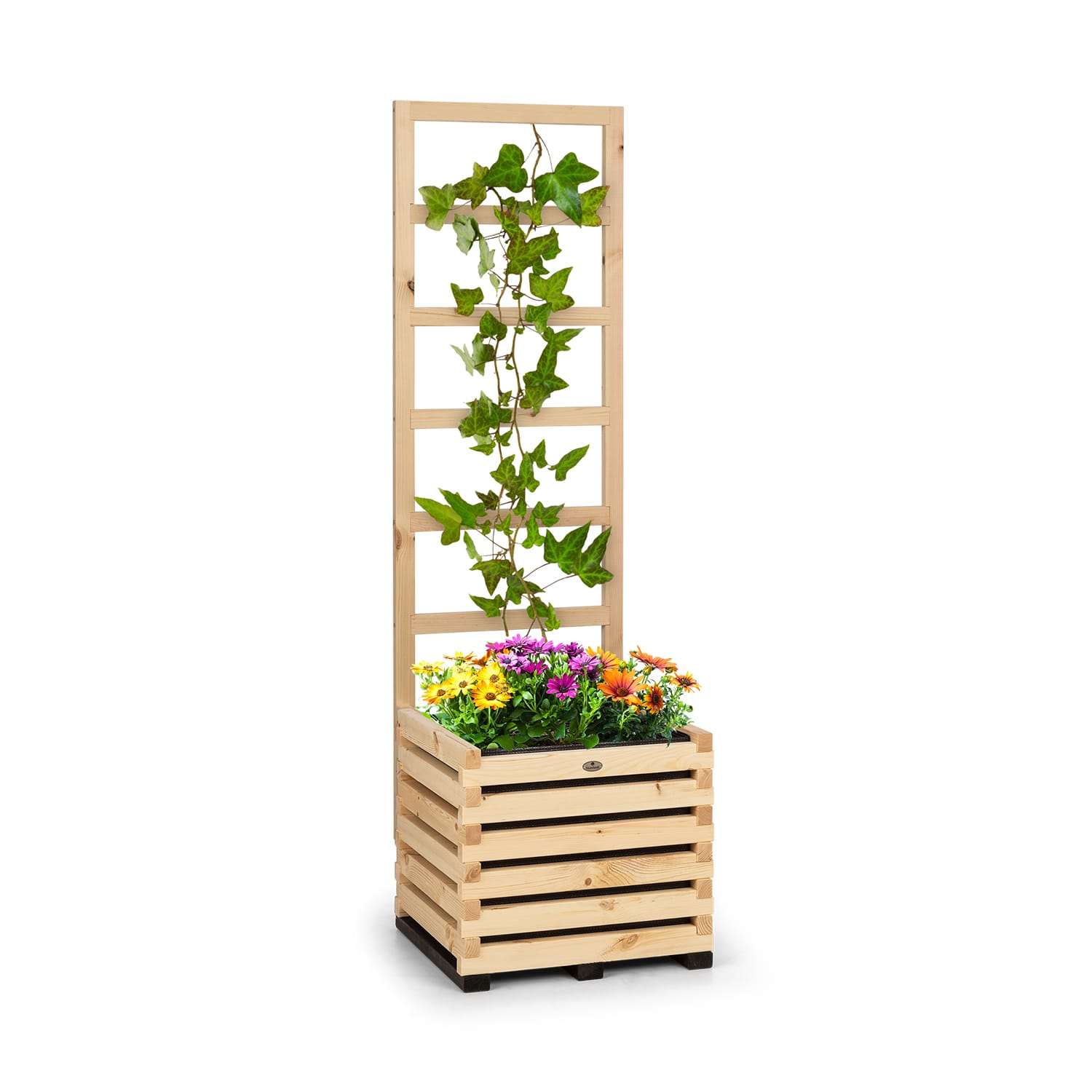 Blumfeldt Mod Grow 50, set de paturi de flori și scară ridicate, 50 x 151 x 45 cm, lemn de pin, folie cu bule