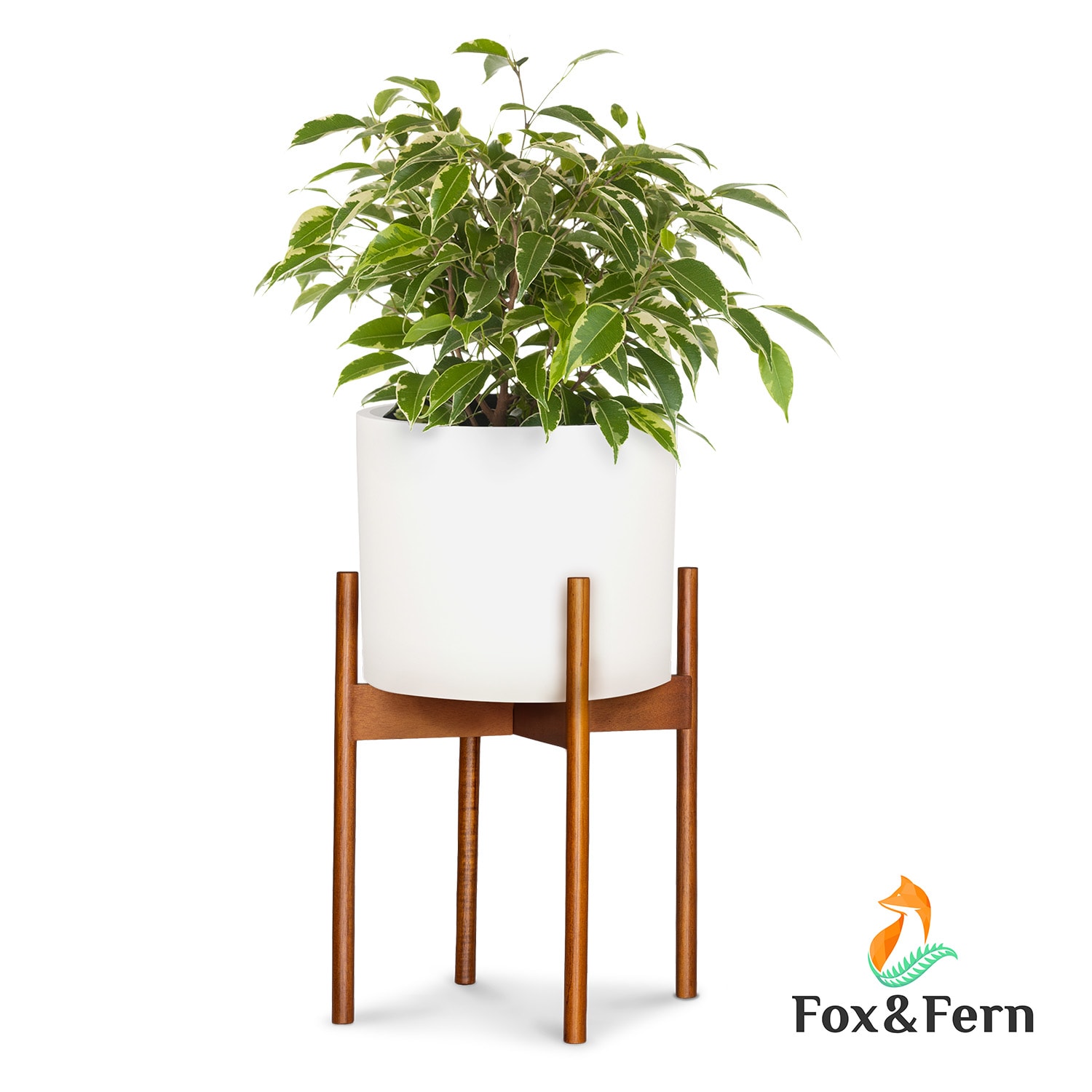 Fox & Fern by blumfeldt Gendt + Zeist Pflanztopf & Ständer Set Größe L Faserstein Akazienholz