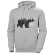 Sweat capuche GRAPHIC ours gris TXL photo du produit image_1 S