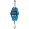 Bascule suspendue Heavy-Duty 100 kg photo du produit