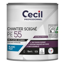 Peinture blanc mat expert PE55 photo du produit