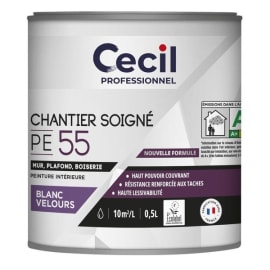 Peinture blanc velours expert PE55 photo du produit