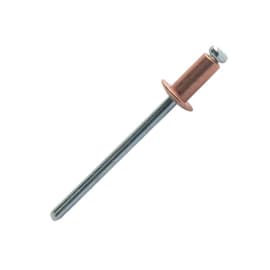 Rivet tête plate - Cuivre/Acier photo du produit
