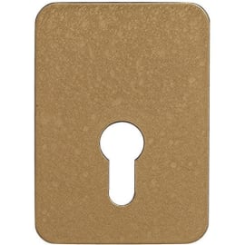 Contre-plaque verrou à cylindre européen photo du produit