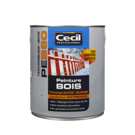 Peinture bois conditions extrêmes PEB60 photo du produit