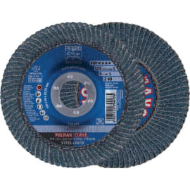 Disques à lamelles POLIFAN ligne spéciale SGP photo du produit