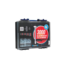 Coffret 3000 vis autoper tête cylindrique empreinte Philips photo du produit
