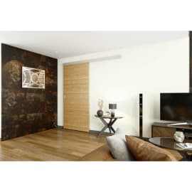 Ensemble SAF10-80 EVO pour portes de 10 à 80 Kg photo du produit
