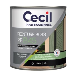 Peinture bois PEB45 - Formule Biosourcée photo du produit