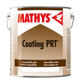 Peinture "froide" pour toitures ou murs COATING PRT® photo du produit