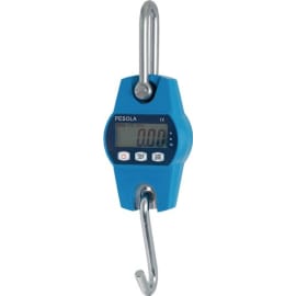 Bascule suspendue Heavy-Duty 100&nbsp;kg photo du produit