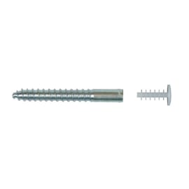 Fixation FIX ASPHALTE M10 12 x 100 photo du produit