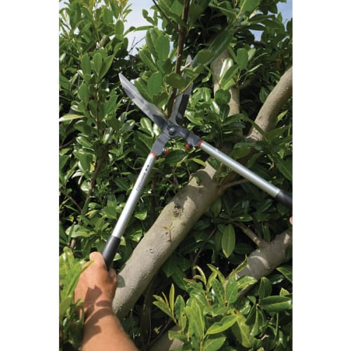 Cisailles à haies traditionnelle 57 cm photo du produit image_7 L