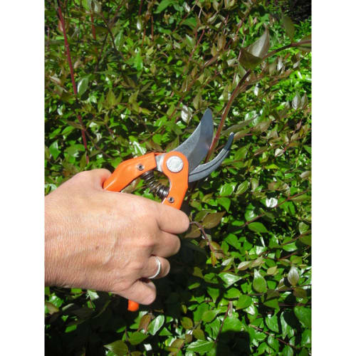 Sécateur jardin 18 cm photo du produit image_2 L