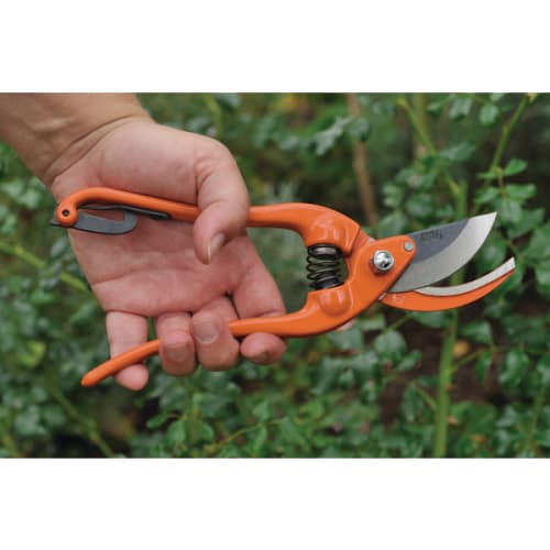 Secateur professionnel forgé une main 23 cm photo du produit image_2 L