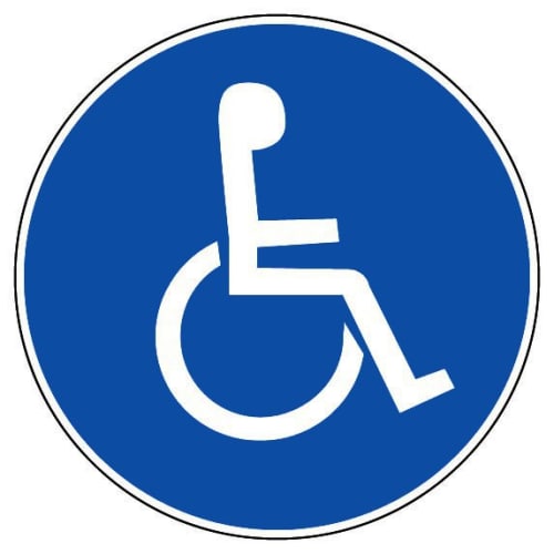Disque rigide parking handicapés diamètre 300 mm photo du produit image_1 L