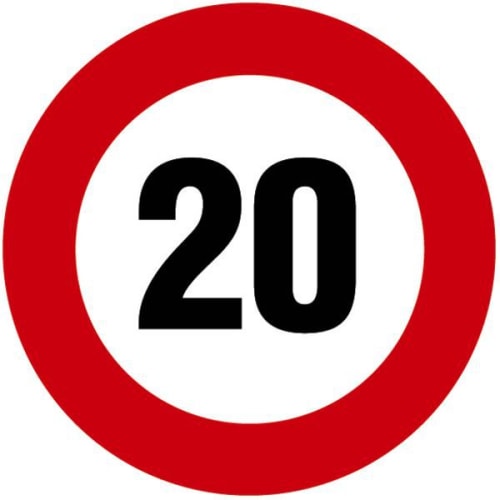 Disque Ø300 mm - Vitesse limitée à 20 km/h photo du produit image_1 L
