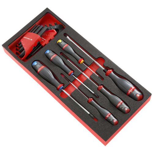 Module mousse tournevis Protwist®, clés mâles et Torx® photo du produit image_1 L