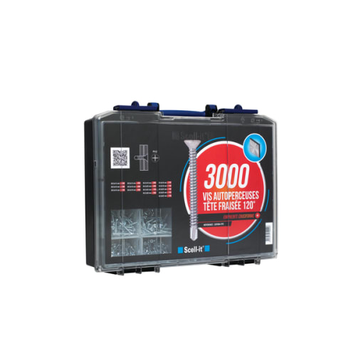 Coffret 3000 vis autoper t.fraisée empr Philips Acier zing photo du produit image_1 L