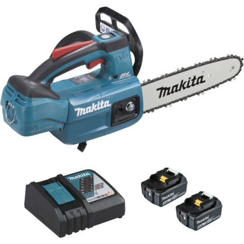 Tronçonneuse d'élagage DUC254RT2 25 cm 2 batteries photo du produit image_1 L