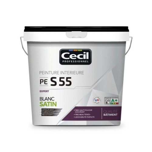 Peinture aspect satin expert PE S55 photo du produit image_1 L