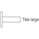 Tête large
