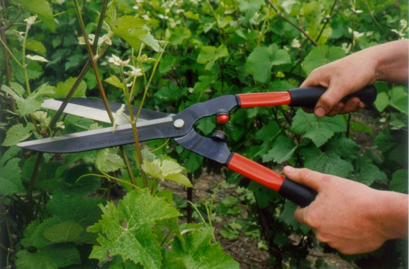 Outillage à main pour jardin BAHCO