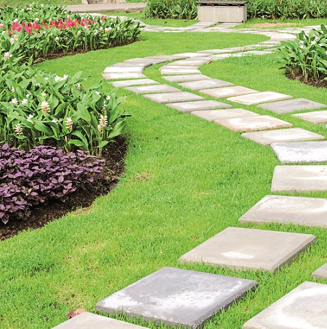Arrosage jardin
