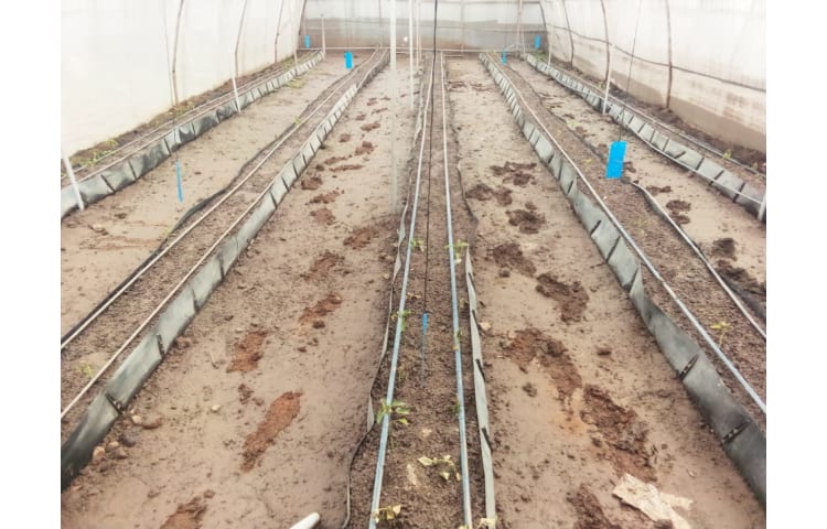 Flood Response relief 2024