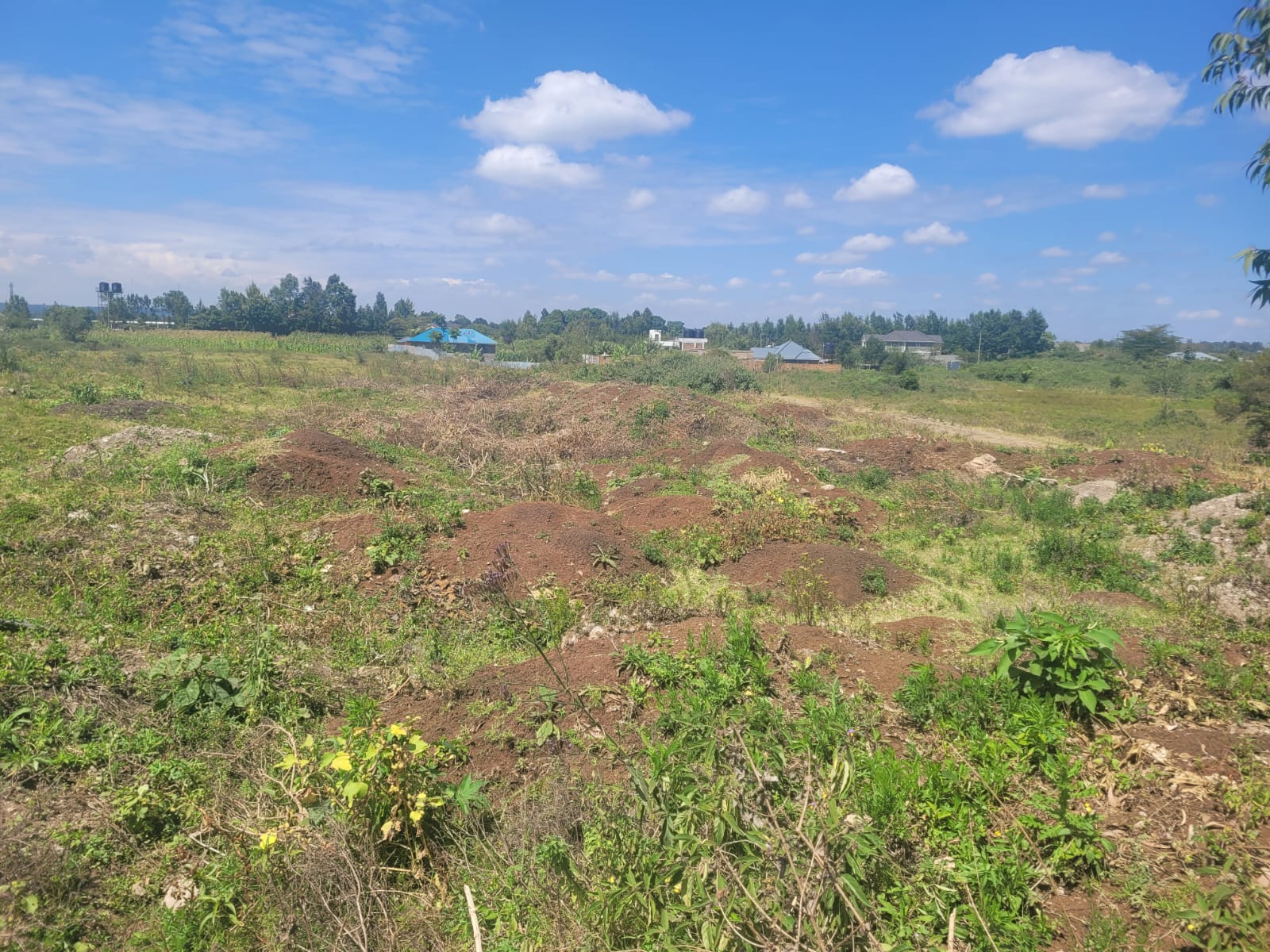 IMANI LAND PROJECT 2024/2025