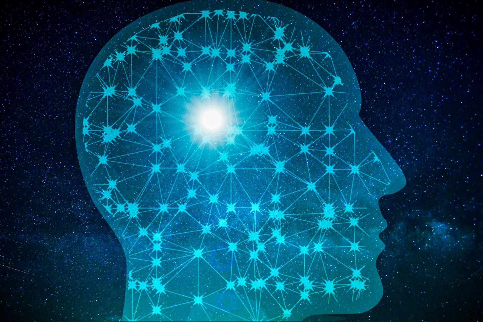 Brain Evolution System Experience Profound Life Change Brain Evolution System Experience Profound Life Change