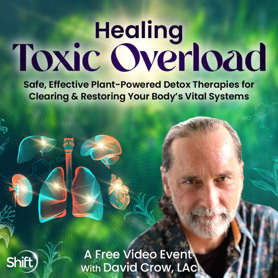 Healing Toxic Overload Naturally
